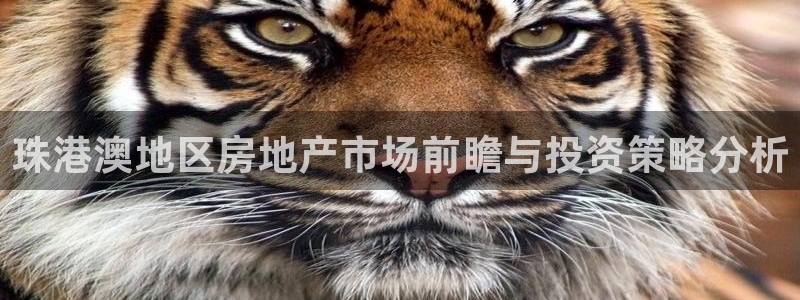 天狮娱乐代理找谁：珠港澳地区房地产市场前瞻与投资策略分析