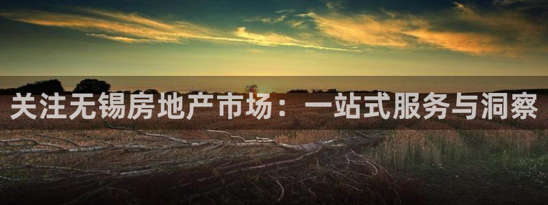 天狮国际娱乐平台：关注无锡房地产市场：一站式服务与洞察