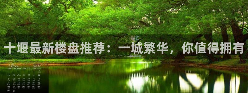 天狮娱乐网址：十堰最新楼盘推荐：一城繁华，你值得拥有