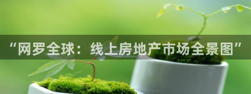 天狮娱乐非法吗：“网罗全球：线上房地产市场全景图”