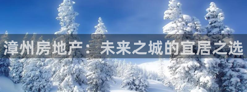 天狮娱乐招商66六26：漳州房地产：未来之城的宜居之选