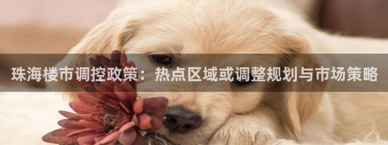 天狮平台娱乐：珠海楼市调控政策：热点区域或调整规划与市场策略