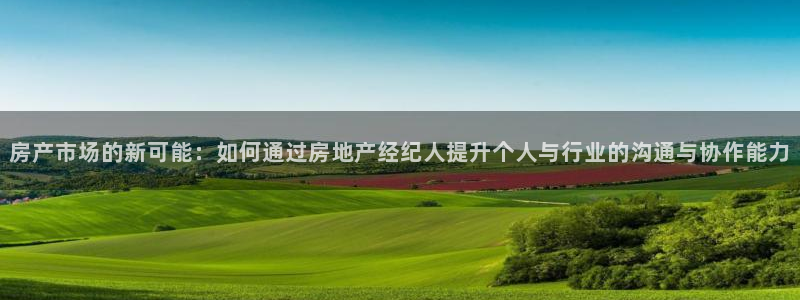 天狮娱乐 b招商67646：房产市场的新可能：如何通过房地产