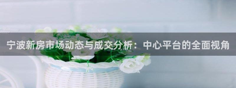 天狮娱乐如：宁波新房市场动态与成交分析：中心平台的全面视角
