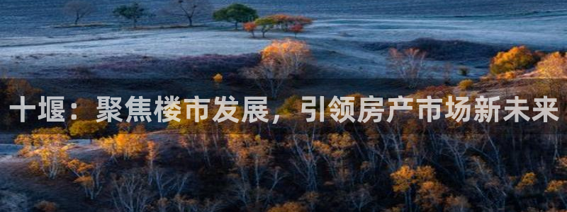 天狮娱乐代理首页：十堰：聚焦楼市发展，引领房产市场新未来