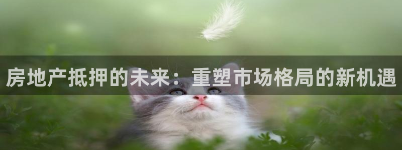 天狮娱乐 接待 0：房地产抵押的未来：重塑市场格局的新机遇