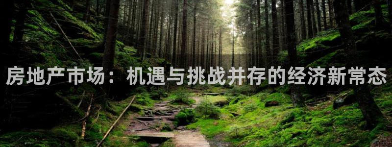 天狮娱乐网站：房地产市场：机遇与挑战并存的经济新常态