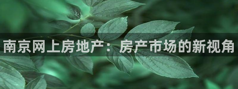 天狮娱乐950594：南京网上房地产：房产市场的新视角
