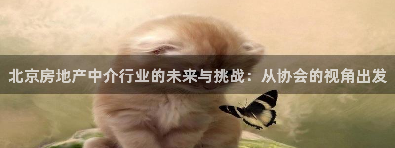 天狮娱乐平台注册官网：北京房地产中介行业的未来与挑战：从协会