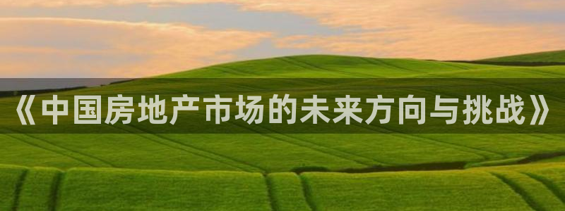 天狮娱乐-欢迎您：《中国房地产市场的未来方向与挑战》