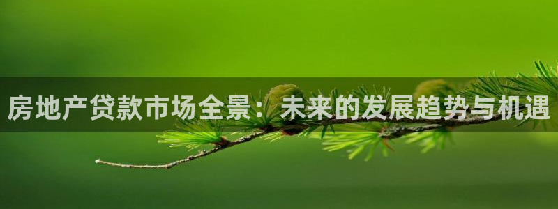 天狮娱乐 官方网站：房地产贷款市场全景：未来的发展趋势与机遇