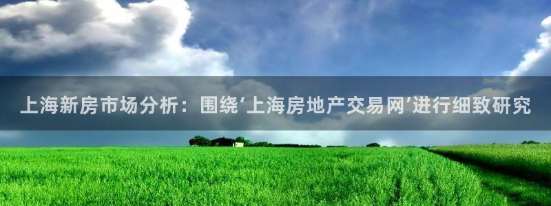 天狮娱乐怎么代理：上海新房市场分析：围绕‘上海房地产交易网’