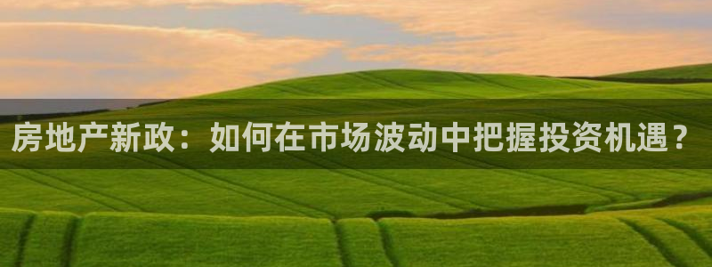 天狮娱乐负责：房地产新政：如何在市场波动中把握投资机遇？