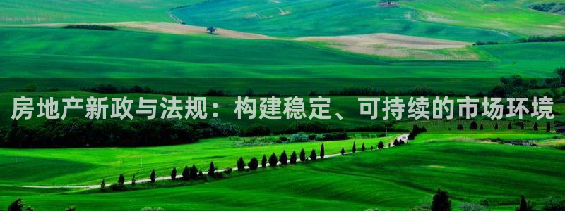 天狮娱乐q：房地产新政与法规：构建稳定、可持续的市场环境