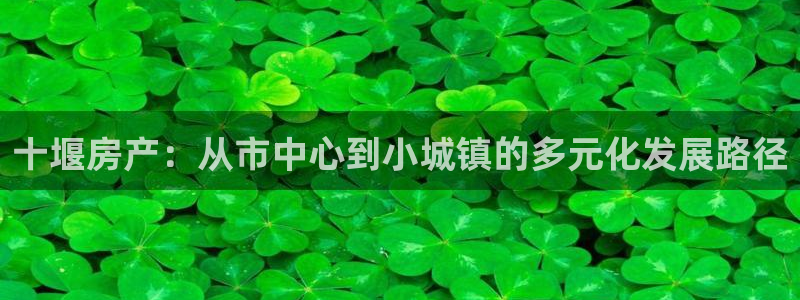 天狮娱乐彩票：十堰房产：从市中心到小城镇的多元化发展路径